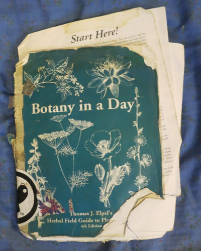 Used copy of Botany in a Day 4th edition.