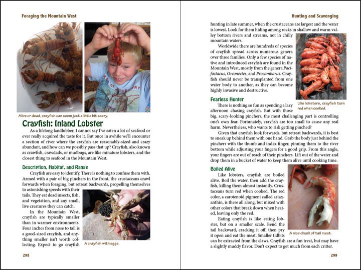Crayfish, sample page from Foraging the Mountain West.