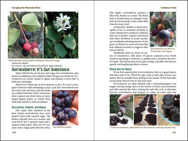 Serviceberry, sample page from Foraging the Mountain West.