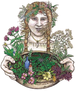 Drawing of a woman with an herb basket.