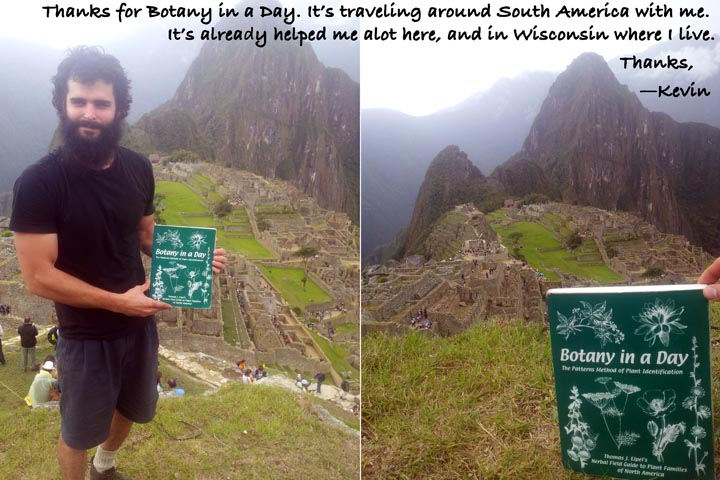 Botany in a Day at Machu Picchu.