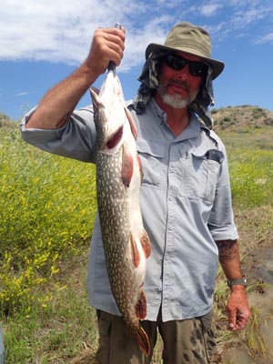 Scott caught a monster northern pike.