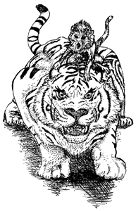 Monkey on Tiger's back sketch.