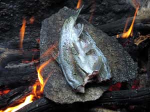 Cooking trout on a rock.