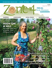 Cover of Zone 4 Magazine.