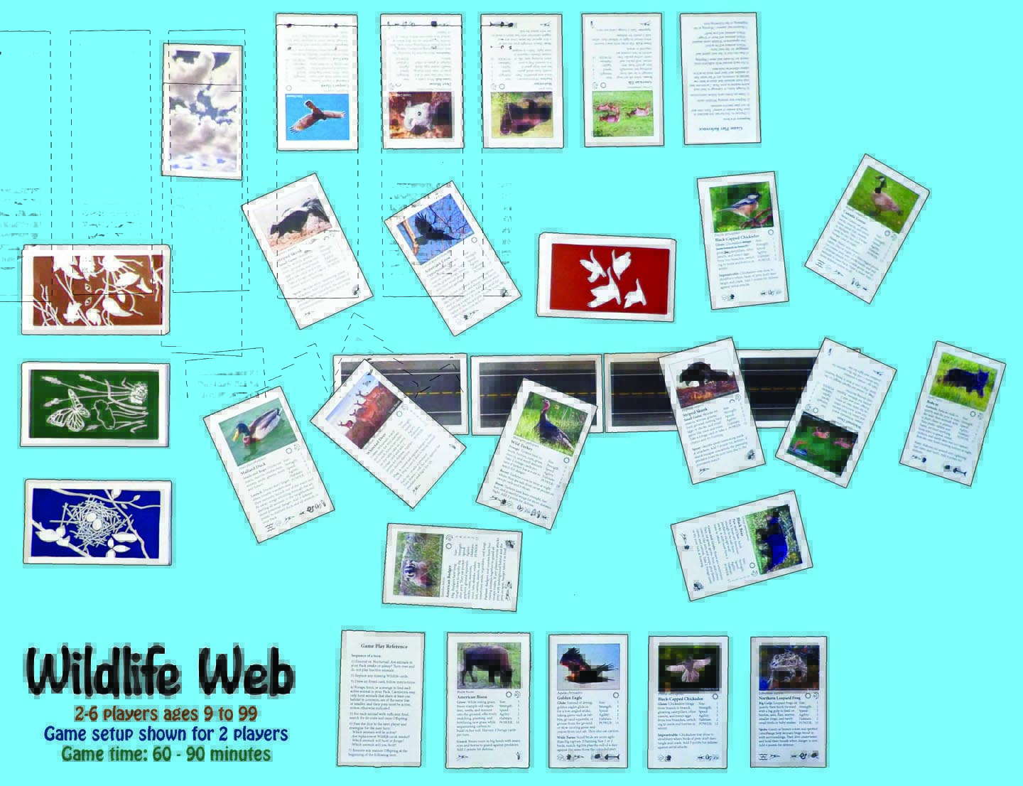 Wildlife Web game layout.