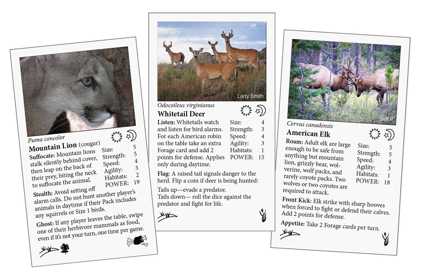 Predator  and Prey Wildlife Web Game Cards.
