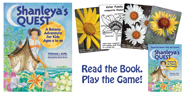Shanleya's Quest Book and Game.