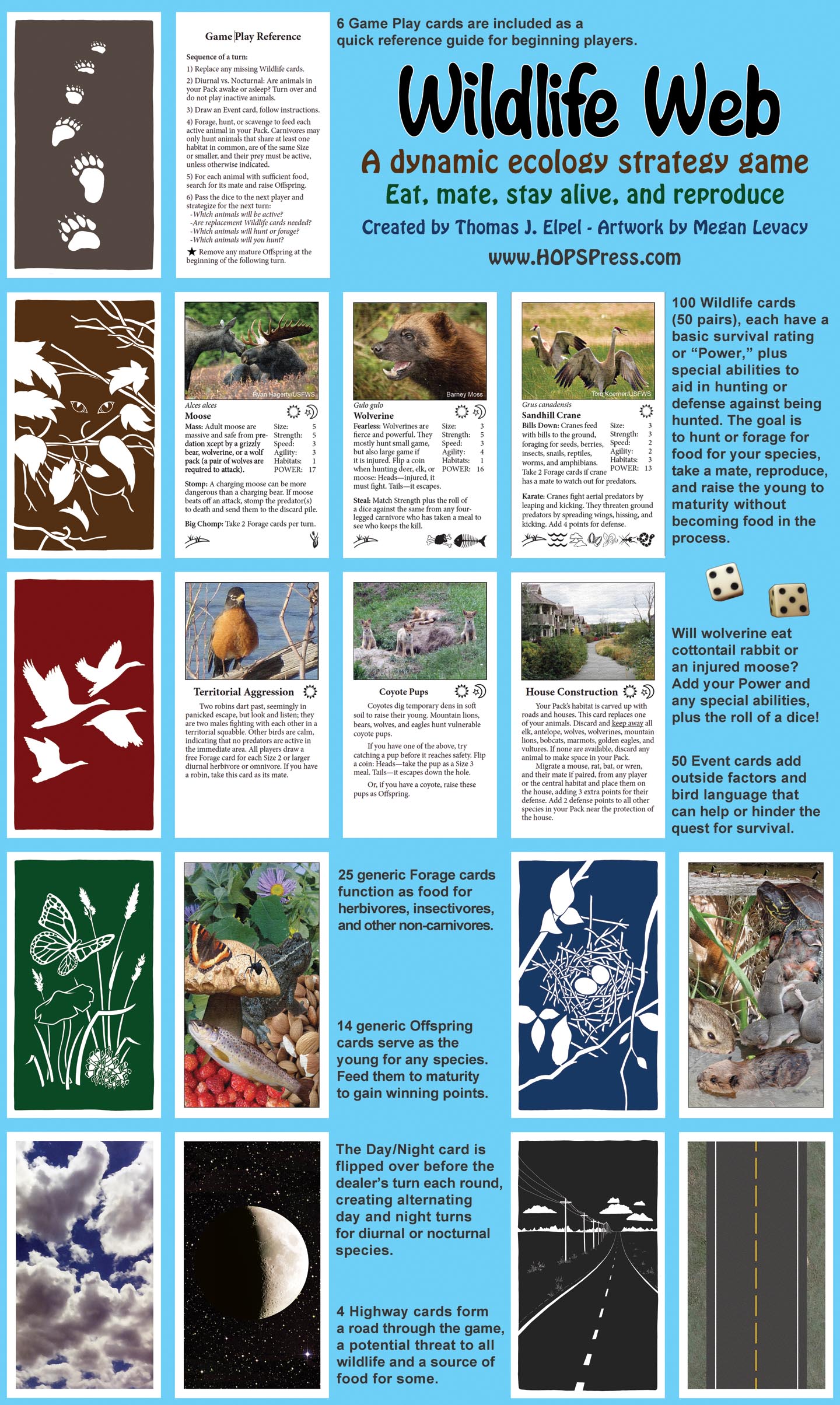 Wildlife Web Sample Cards.